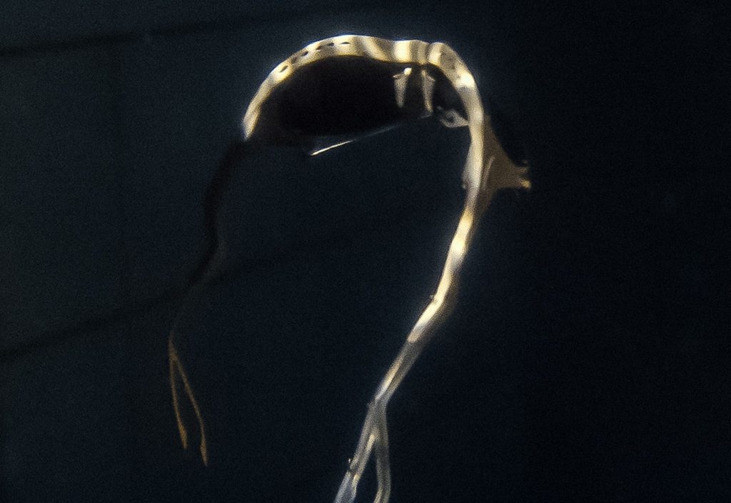 Podpah x Oakley: a colaboração que traduz fogo, água e a força da quebrada no novo Plantaris 7 PODPAH X OAKLEY PLANTARIS 2 LENTES